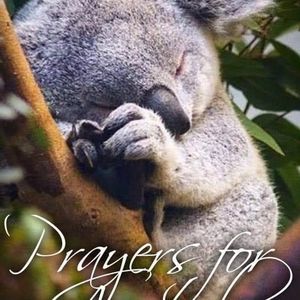 Meet your Posher, Pam